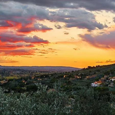 La Limonaia * Cortona