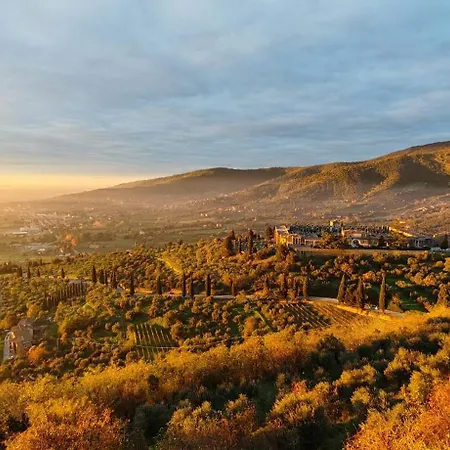 La Limonaia * Cortona