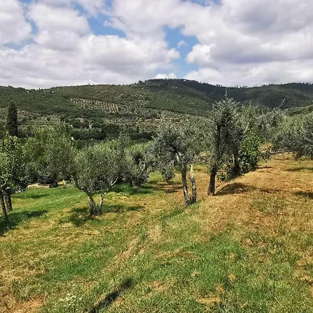 La Limonaia