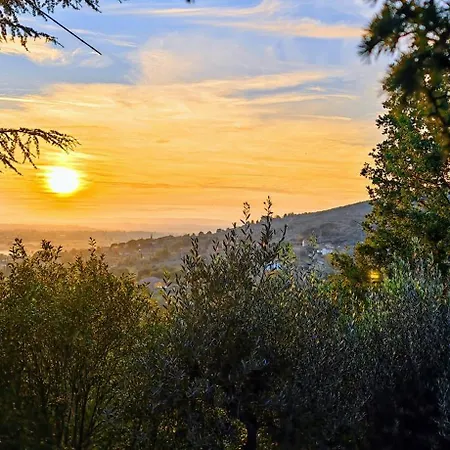 La Limonaia * Cortona