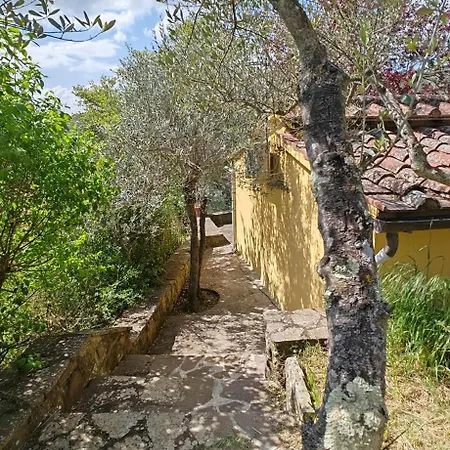 La Limonaia * Cortona