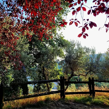 La Limonaia *