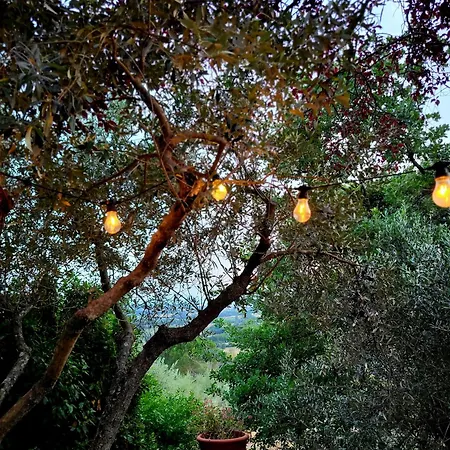 La Limonaia Feriehus *